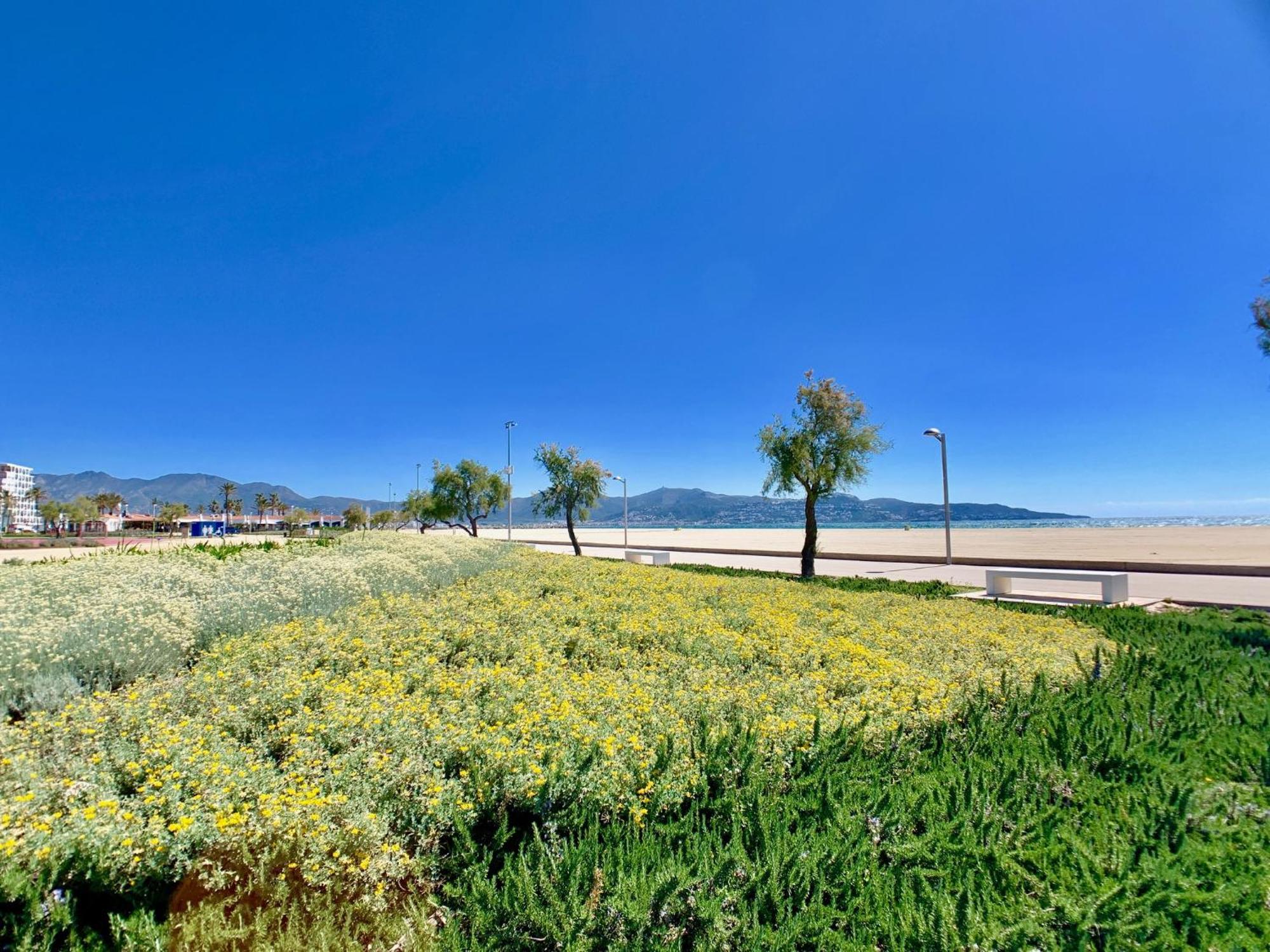 Apartment Vista Bahia 23 -4 Sea View Empuriabrava Ngoại thất bức ảnh